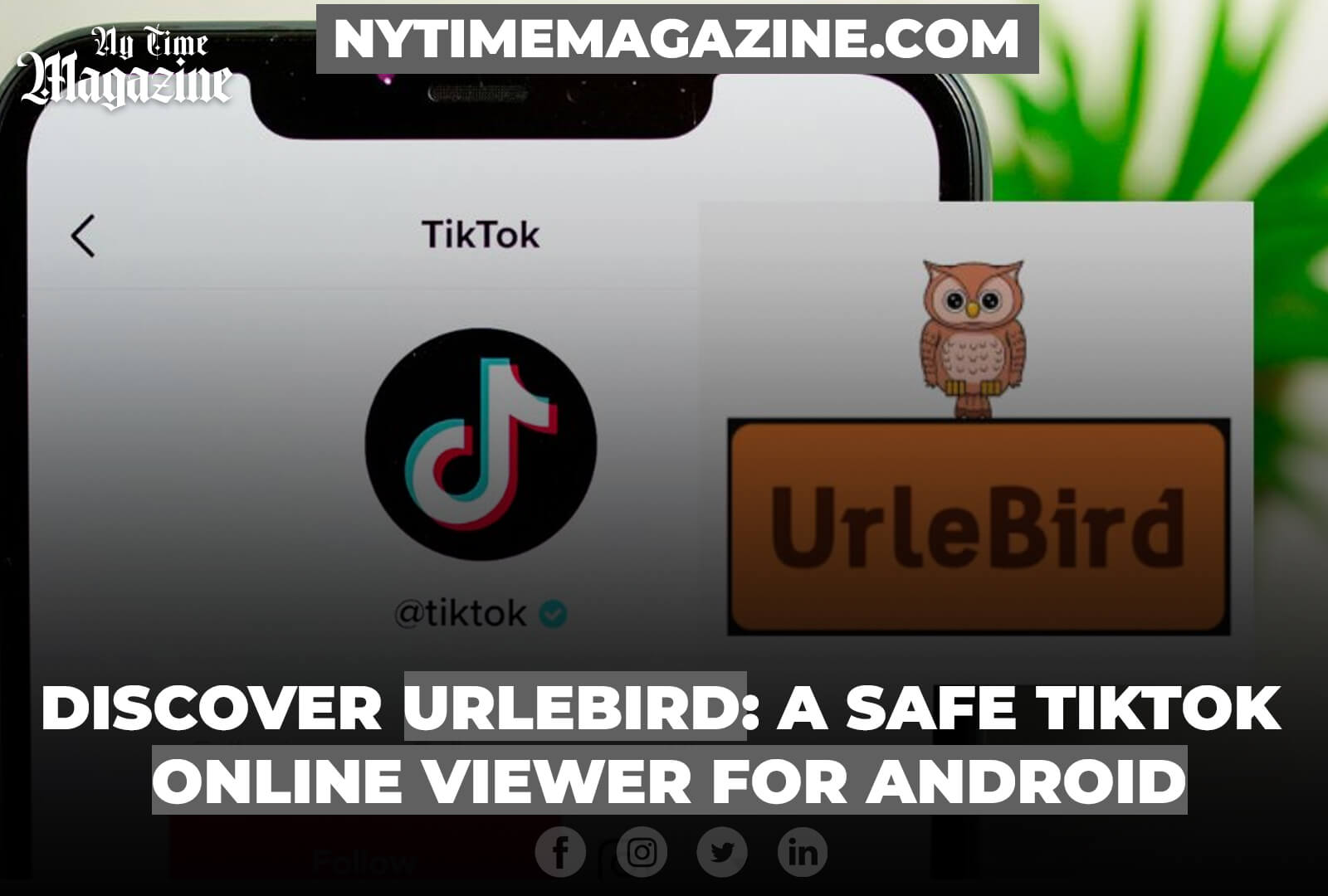 DISCOVER URLEBIRD: A SAFE TIKTOK ONLINE VIEWER FOR ANDROID